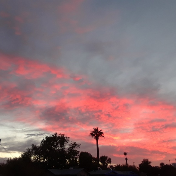 🏜 Tracyazgal 🏜 - Picture 3 of 3